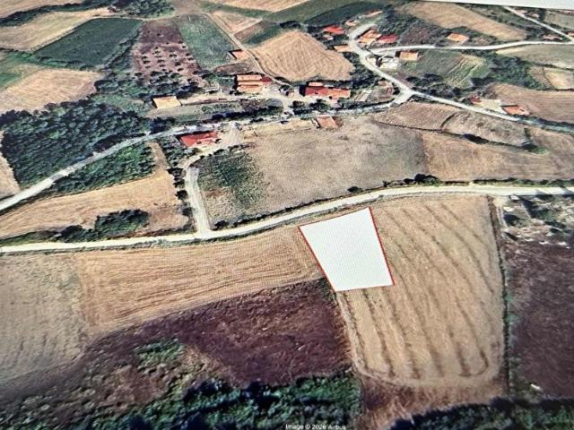 Çoban, Alaçam içerisinde satılık Arsa