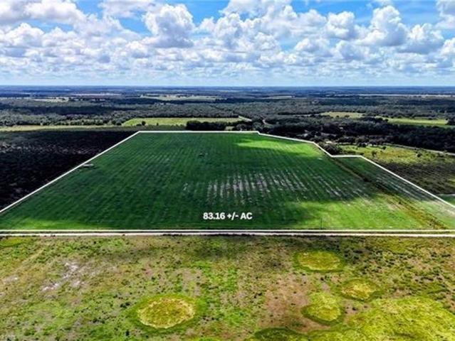 Land for sale in Zolfo Springs, Florida