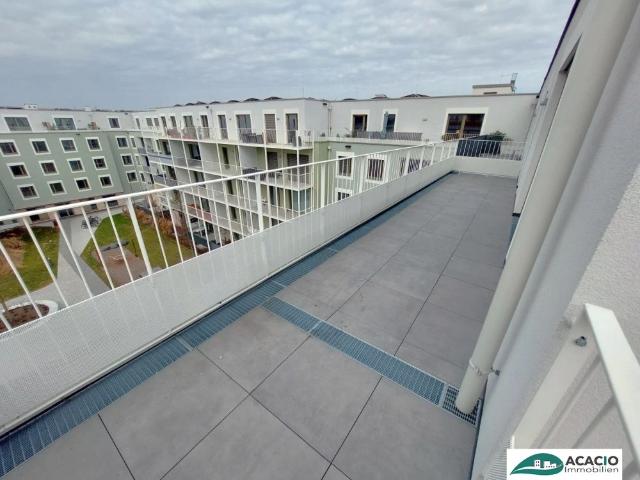 Apartment mieten in Judenau-Baumgarten, Niederösterreich