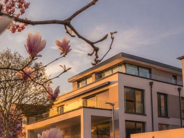 Wohnung kaufen in Lützelsachsen, Weinheim