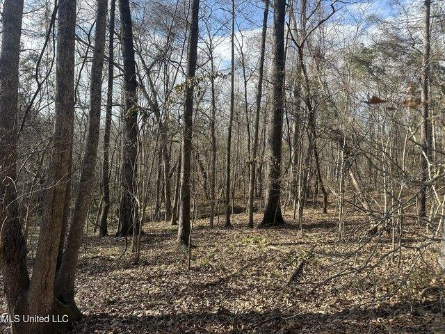 Land for sale in Natchez, Mississippi