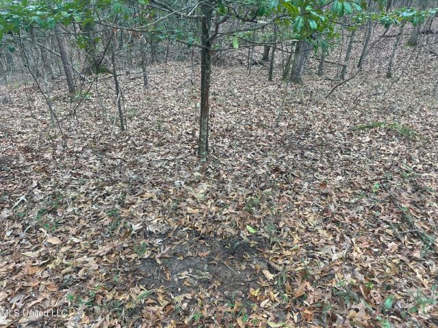 Land for sale in Natchez, Mississippi