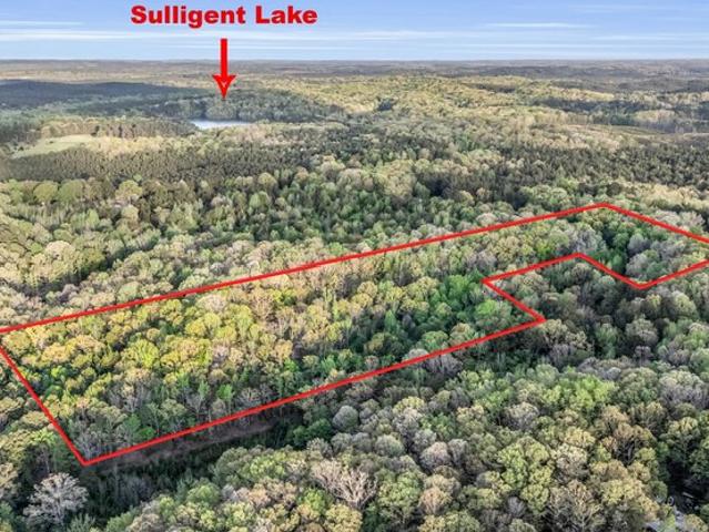 Land for sale in Sulligent, Alabama