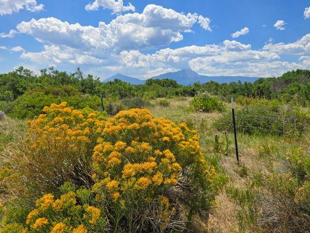 Land for sale in La Veta, Colorado
