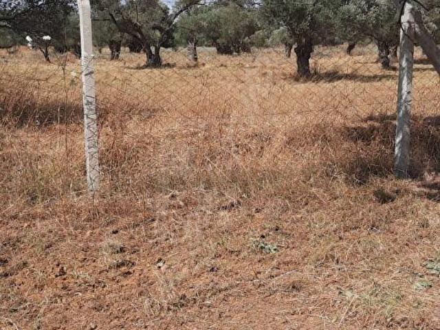 Güzelbahçe, İzmir içerisinde satılık Arsa