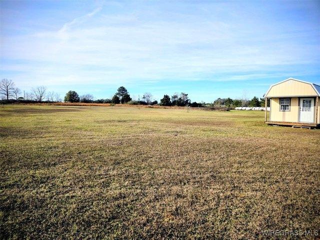 Land for sale in Dale, Alabama