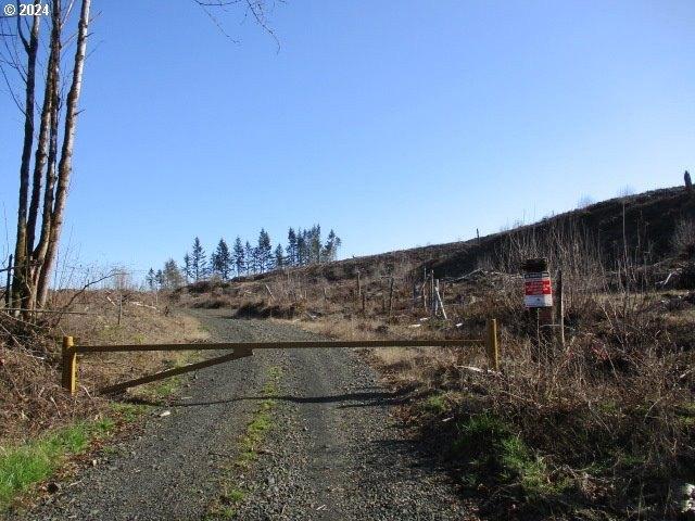 Land for sale in Silverton, Marion County