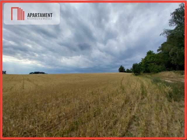 Grunt na sprzedaż w Łabiszyn, Kujawsko-pomorskie