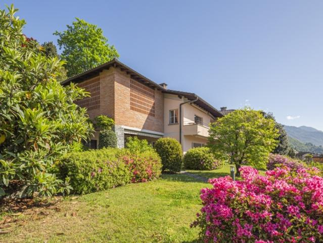 Mehrfamilienhaus kaufen in Minusio, Tessin
