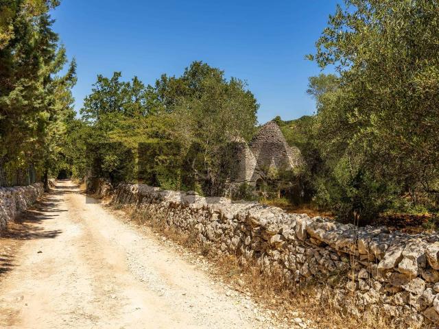 Rustico in vendita a Santa Lucia, Puglia