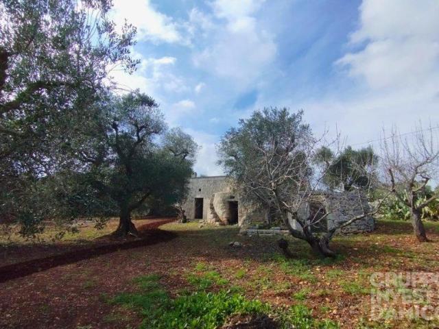 Rustico in vendita a Puglia, Brindisi