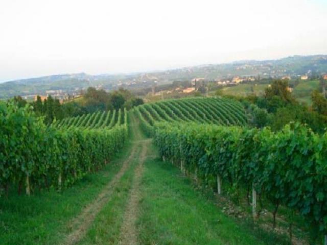 Terreno in vendita a Piemonte, Asti