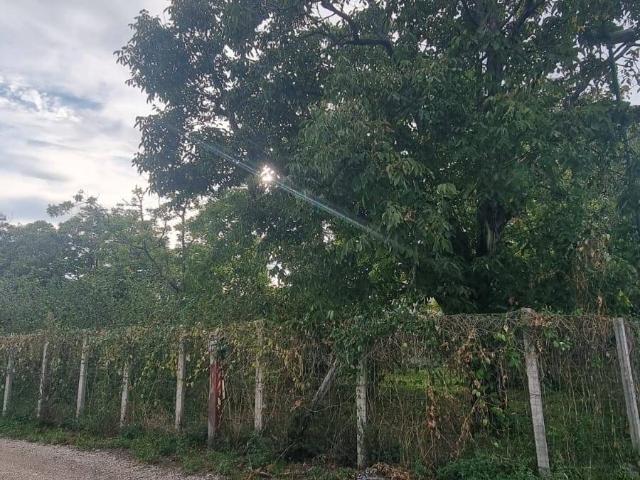 Appartamento in vendita a Brusciano, Campania