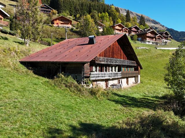 Ferme vente à Abondance, Haute-Savoie