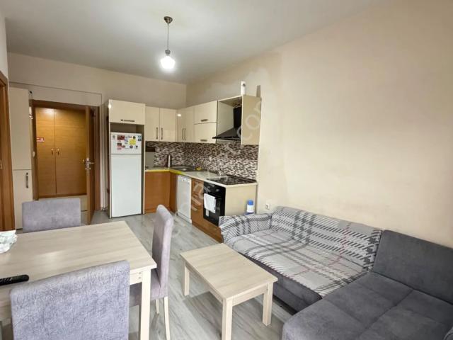 Orhangazi, Düzce Merkez içerisinde kiralık mülk