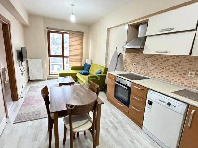 Orhangazi, Düzce Merkez içerisinde kiralık mülk