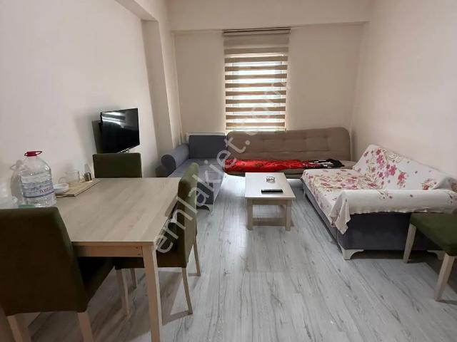 Düzce Merkez, Düzce içerisinde kiralık mülk