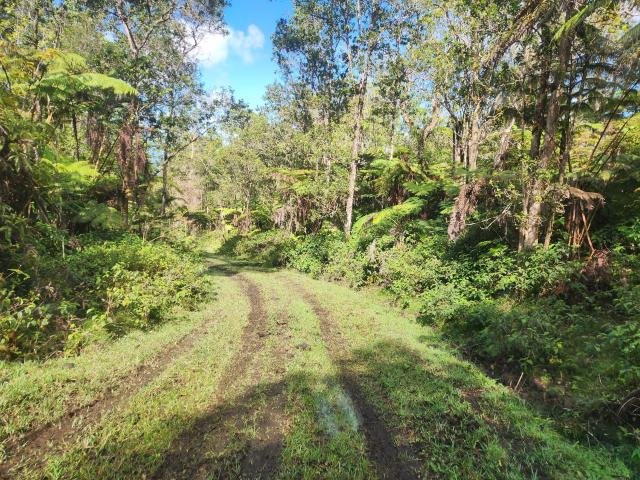 Property for sale in Hawaii