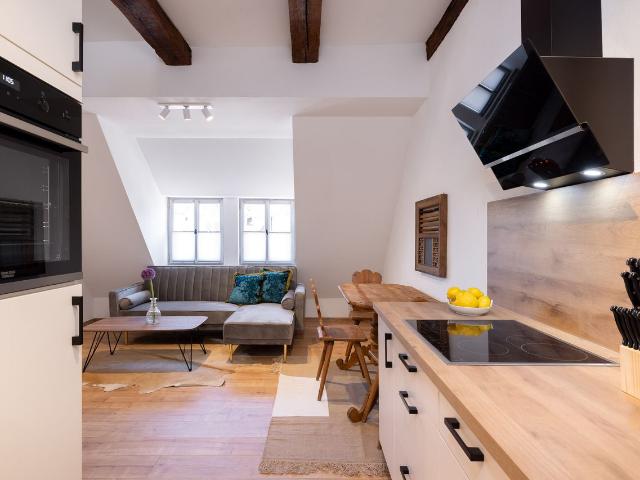 Apartment mieten in Innenstadt, Erlangen