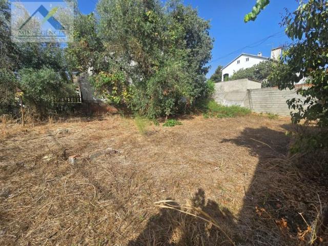 Terreno venda em Abrantes, Santarém
