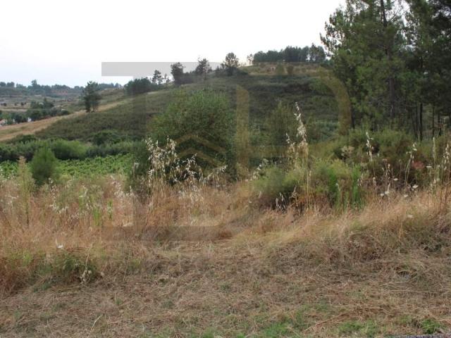 Terreno venda em Abrantes, Santarém