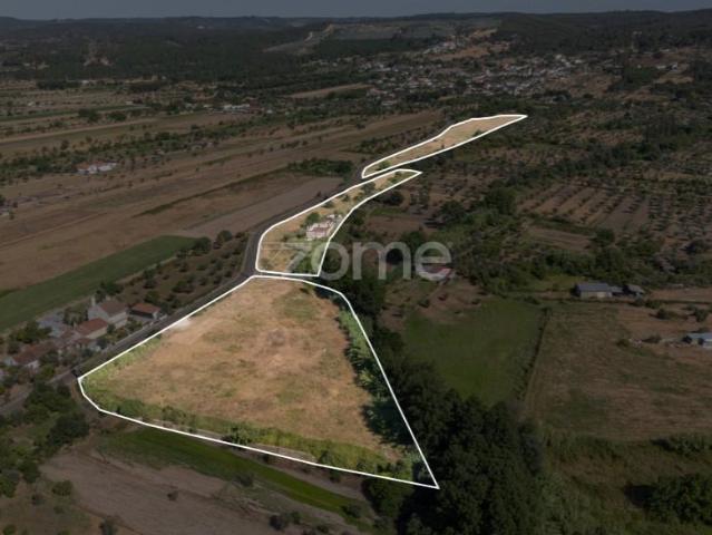 Terreno venda em Abrantes (São Vicente e São João) e Alferrarede, Abrantes