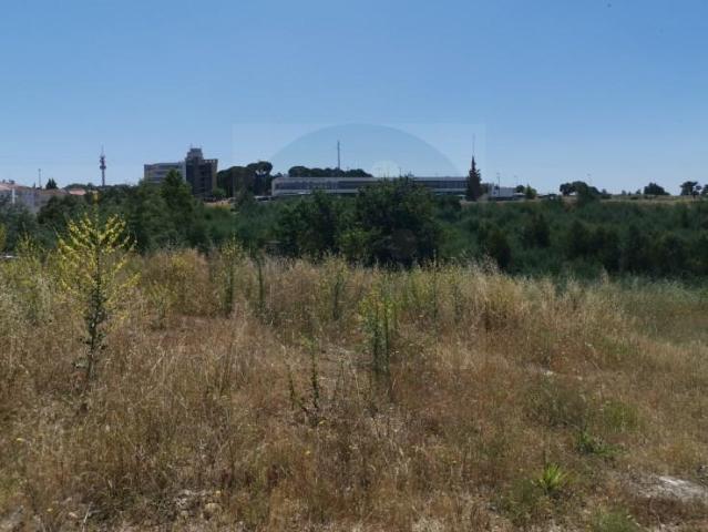 Terreno venda em Abrantes, Santarém