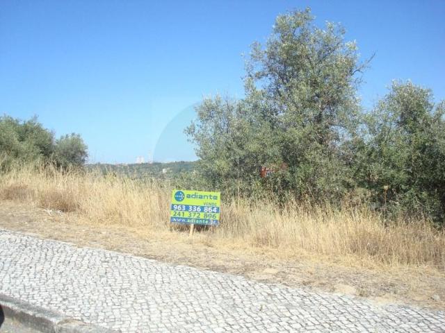 Terreno venda em Abrantes, Santarém