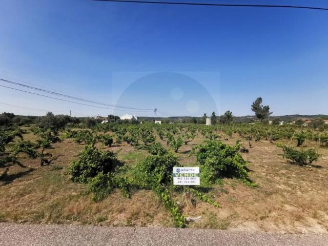 Terreno venda em Abrantes, Santarém