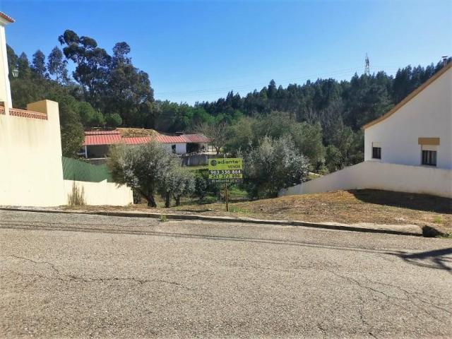 Terreno venda em Abrantes, Santarém