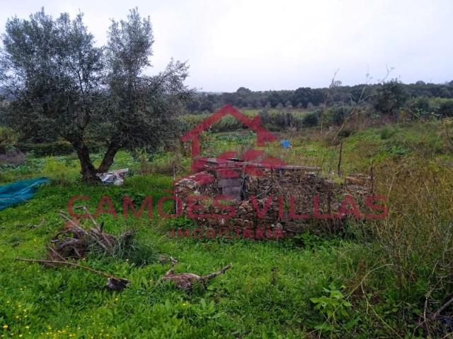 Terreno venda em Abrantes, Santarém