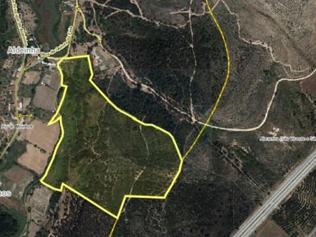 Terreno venda em Abrantes (São Vicente e São João) e Alferrarede, Abrantes