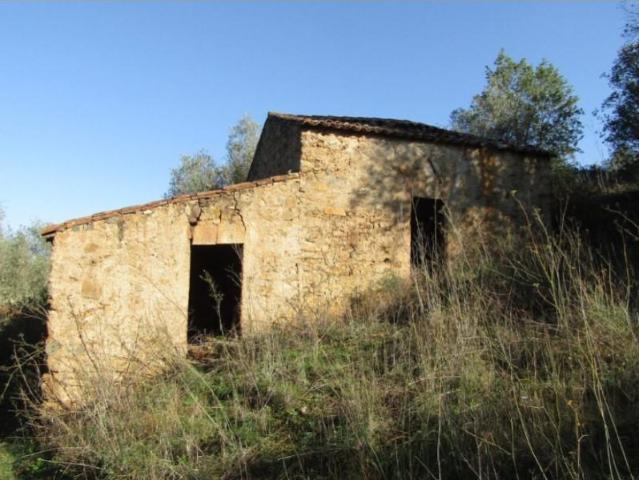 Terreno venda em Abrantes, Santarém