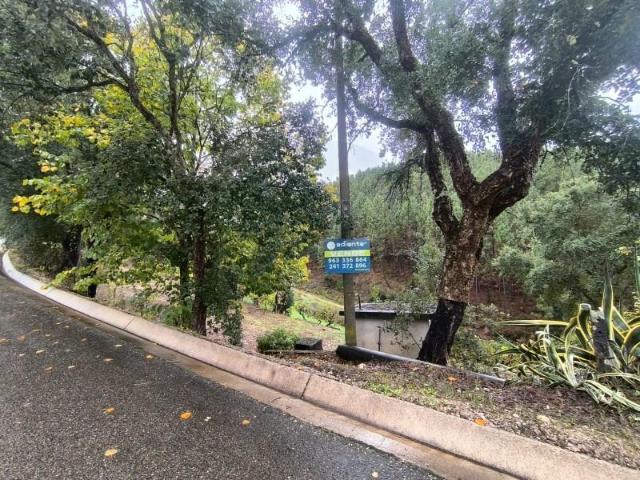 Terreno venda em Abrantes, Santarém