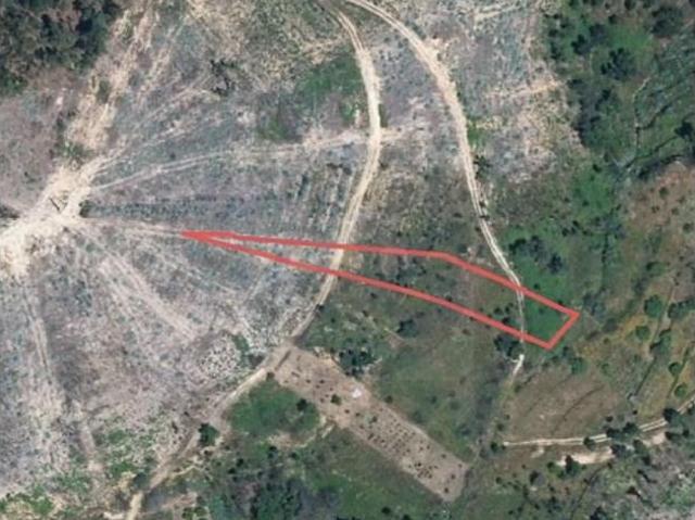 Terreno venda em Abrantes, Santarém
