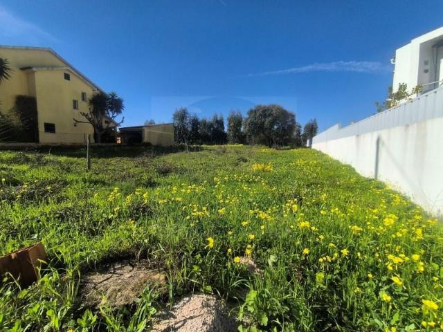Terreno venda em Abrantes, Santarém