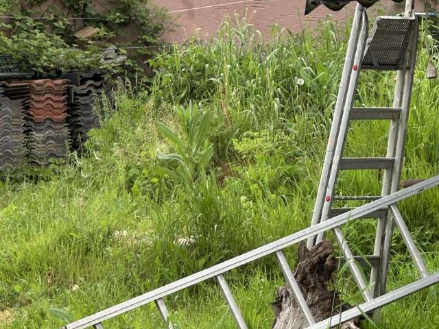Erdgeschosswohnung kaufen in Erbach, Alb-Donau-Kreis