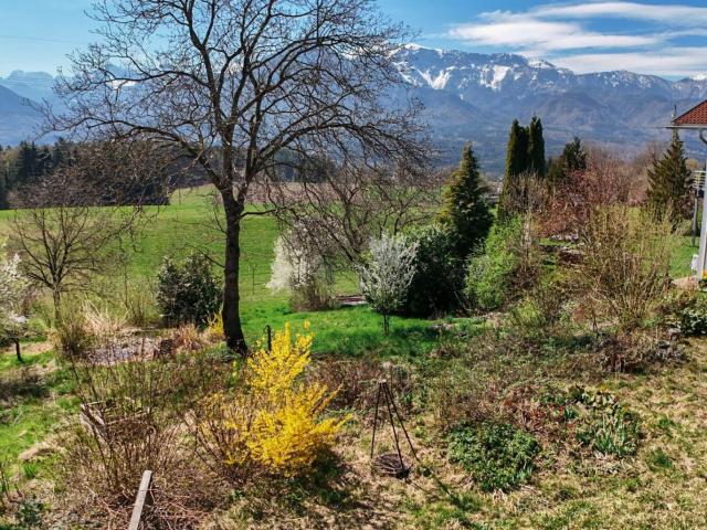 Grundstück kaufen in Ludmannsdorf, Kärnten