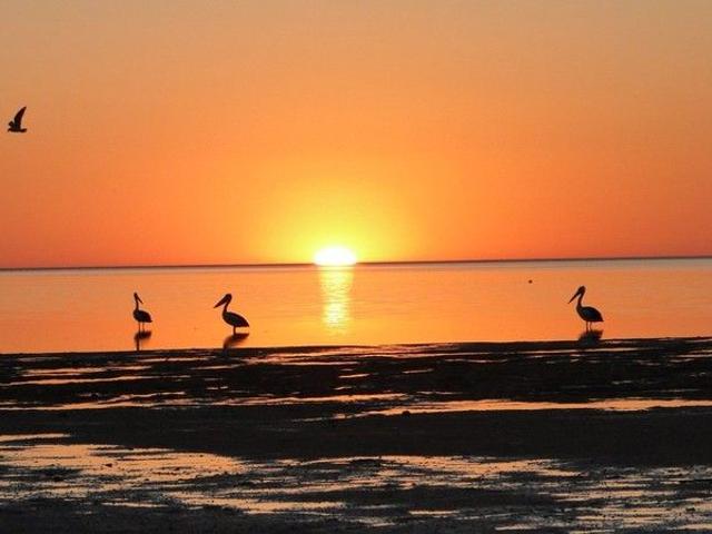 House for sale in Chinaman Wells, South Australia