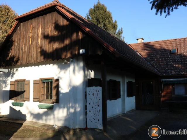 Bauernhaus kaufen in Heiligenkreuz im Lafnitztal, Burgenland