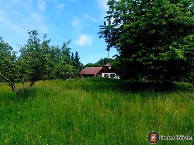 Bauernhaus kaufen in Heiligenkreuz im Lafnitztal, Burgenland