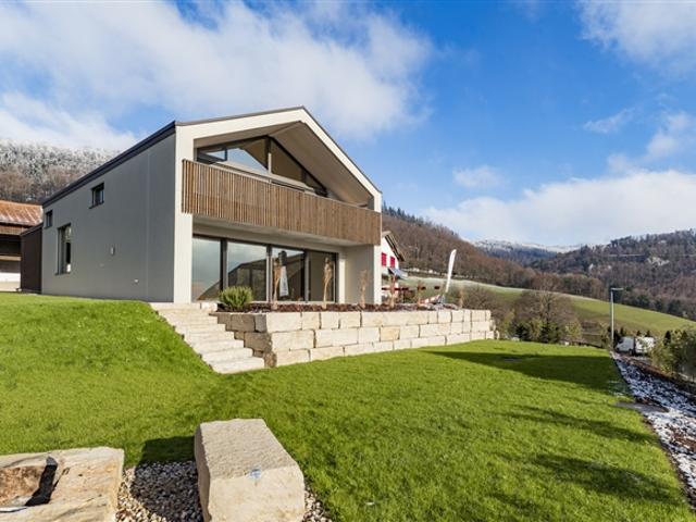 Einfamilienhaus kaufen in Boécourt, Jura