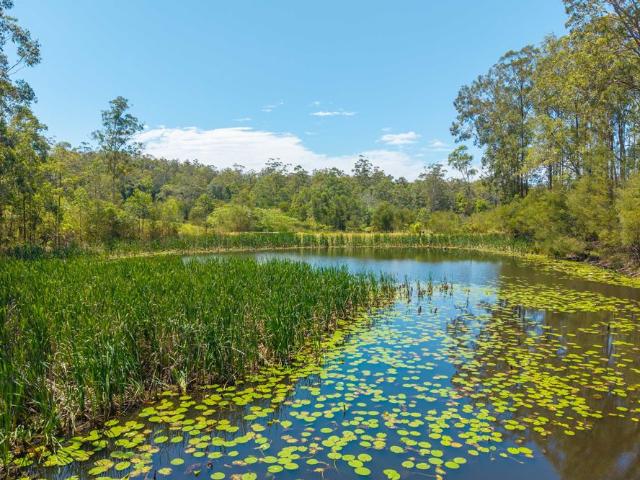Property for sale in New South Wales