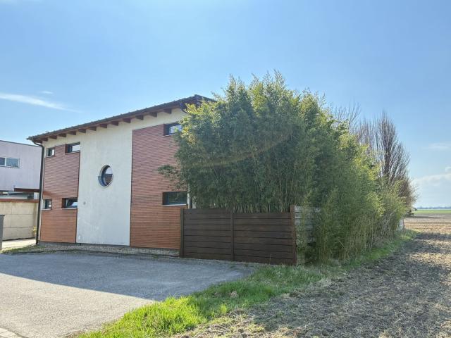 Haus kaufen in Münchendorf, Niederösterreich