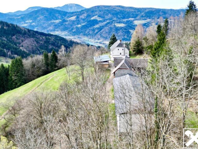 Haus kaufen in Pfarrdorf, Lavamünd