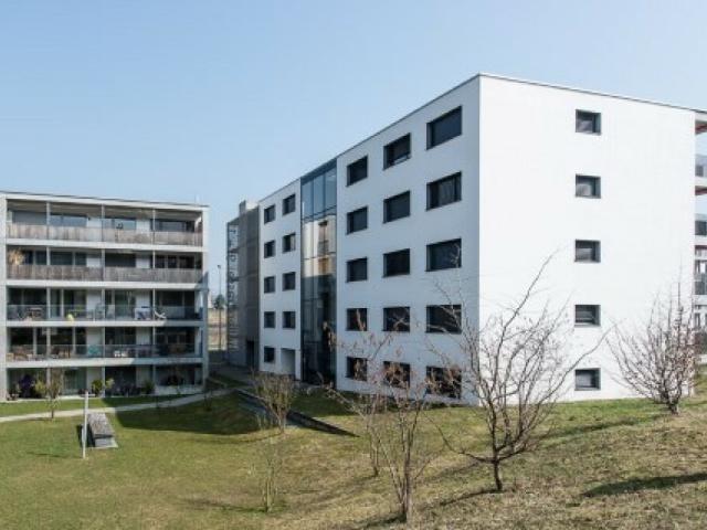 Wohnung mieten in Unterwetzikon, Wetzikon (ZH)