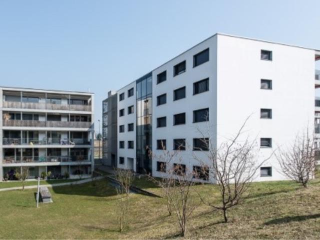 Wohnung mieten in Unterwetzikon, Wetzikon (ZH)