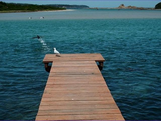 House for rent in Mossy Point, New South Wales