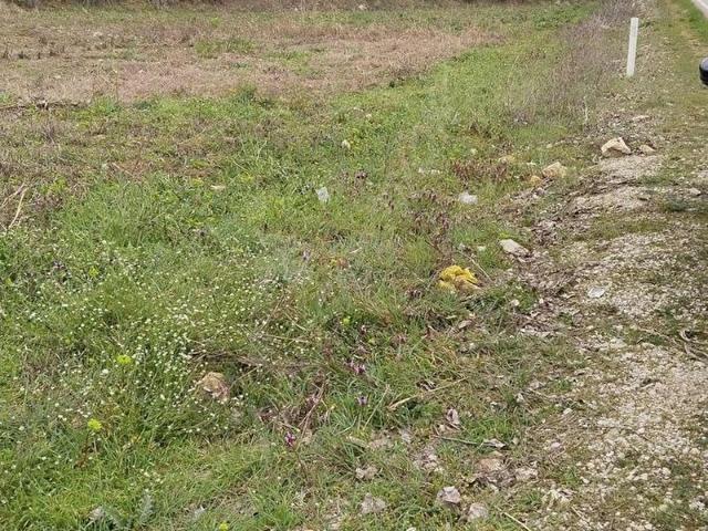 Çimenözü, Niksar içerisinde satılık mülk
