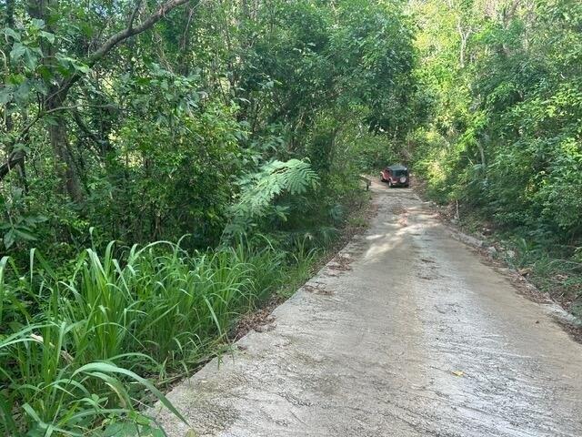 Land for sale in Saint Thomas, Missouri
